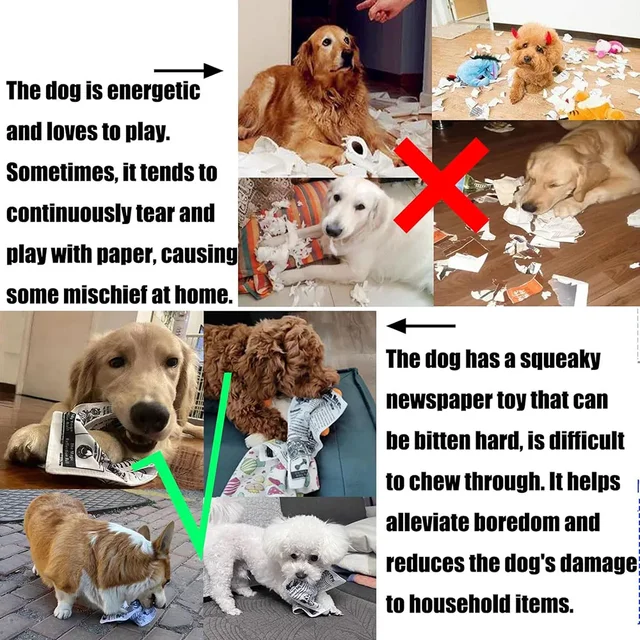 Tearproof Dog Sound Chew Toy Simulated Squeak Newspaper Playing Card K Q J Teeth Resistant Corgi Teddy Puppy Pet Interactive Toy 6