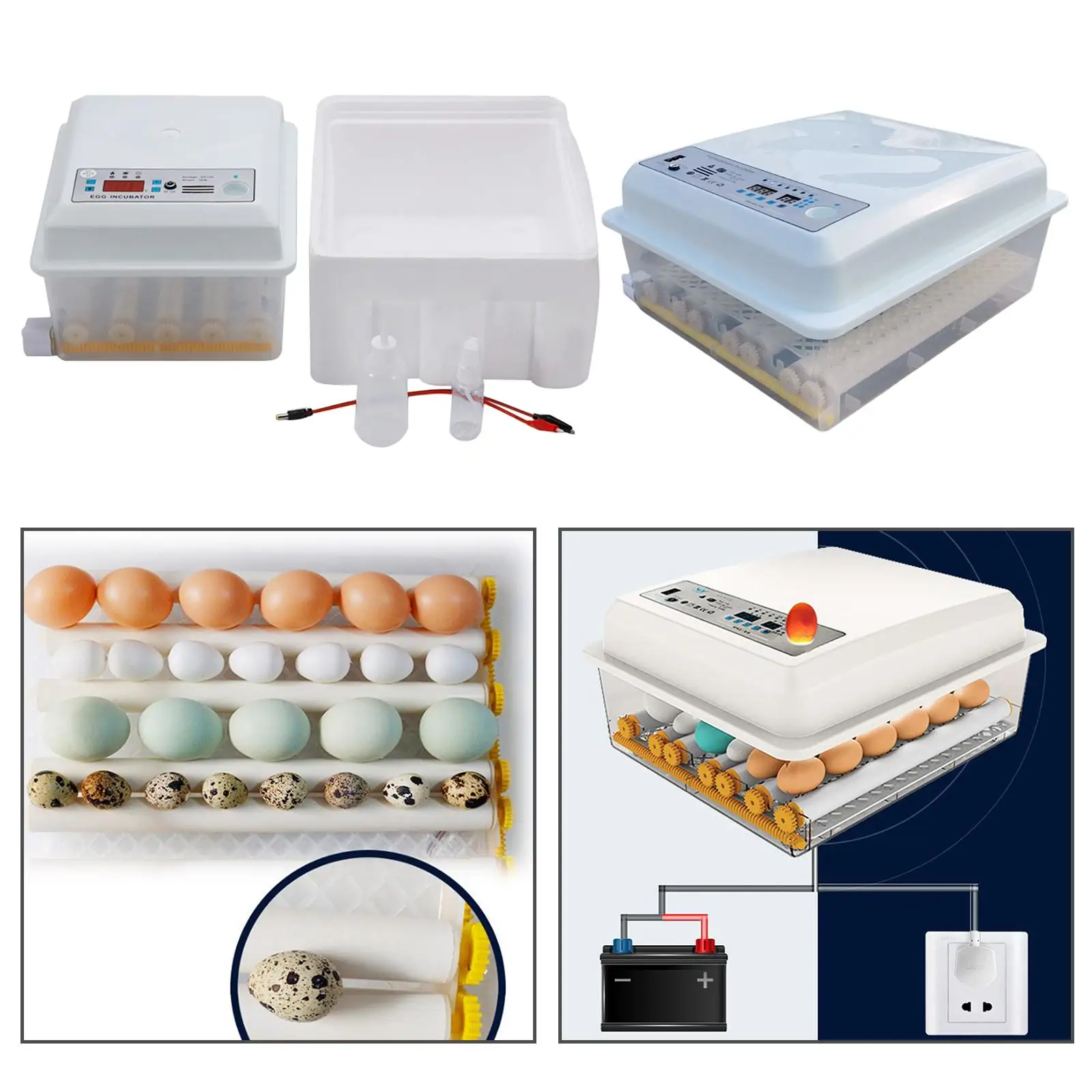 

Digital Mini Automatic Egg Incubator 16/36 Eggs Poultry Hatcher for Chickens Ducks Goose Birds , Adjustable Egg Hatcher Machine