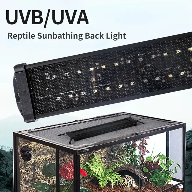 Reptile UVA+UVB Full Spectrum LED UV Lamp 10.0/20.0 Turtle Lizard Snake Light Terrarium Lamp for Reptile Vivarium Calcium Supply Reptile UVA+UVB Full Spectrum LED UV Lamp 10.0/20.0 Turtle Lizard Snake Light Terrarium Lamp for Reptile Vivarium Calcium Supply
