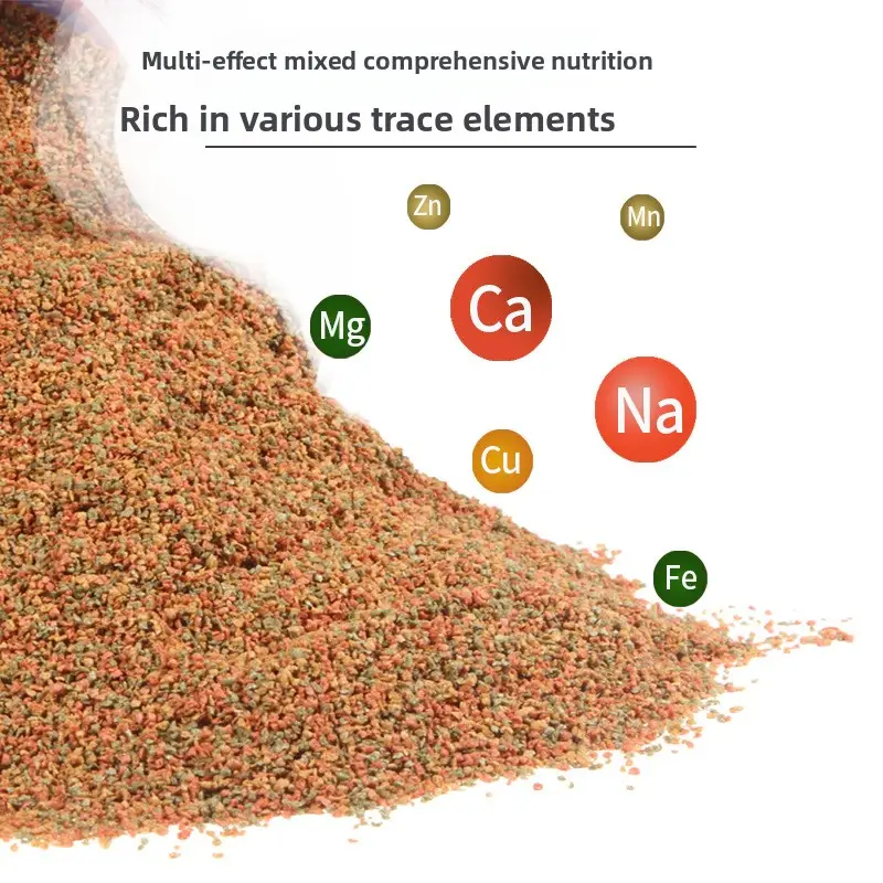 SONXI Nano Fish Food - Premium Micro Pellets for Guppies, Endler's Livebearers, Rasboras & Small Tetras - Image 4