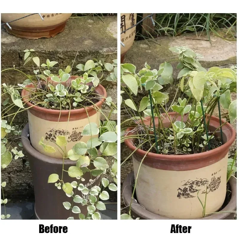 Plastic Plant Supports Sticks Flower Stand Reusable Protection Fixed Tools Gardening Supplies Vegetable Holder Bracket 10/1pcs Plastic Plant Supports Plant Support Stick