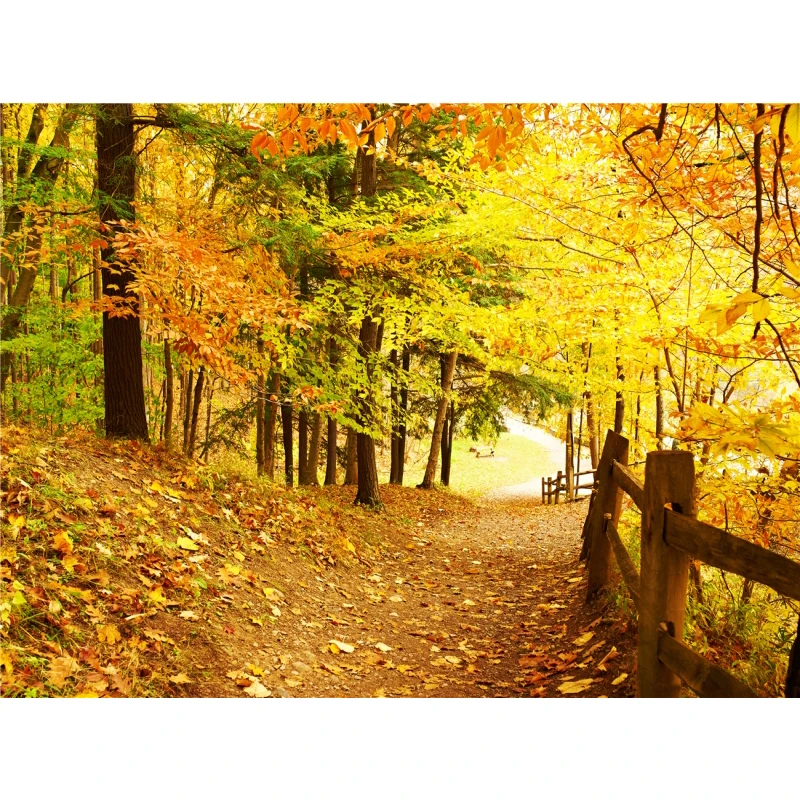 thumbnail image 1 of Póster de lienzo con decoración de otoño, hojas amarillas, vista de otoño, arte de pared, impresión, pintura de puente, imagen de Halloween, decoración del hogar para sala de estar, 1 of 5
