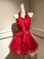 4191 red