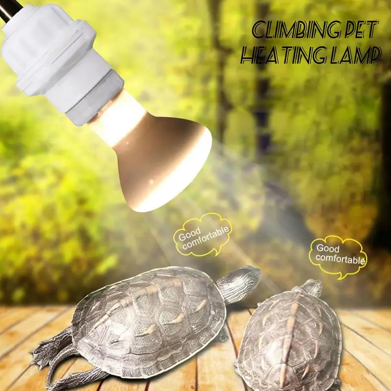 Bulb Holder Lamp Socket Solid Ceramics Socket Heater Lamp Holder Heat Light  Output Lizard Ceramic Heat Lamp Holder With Separate - AliExpress