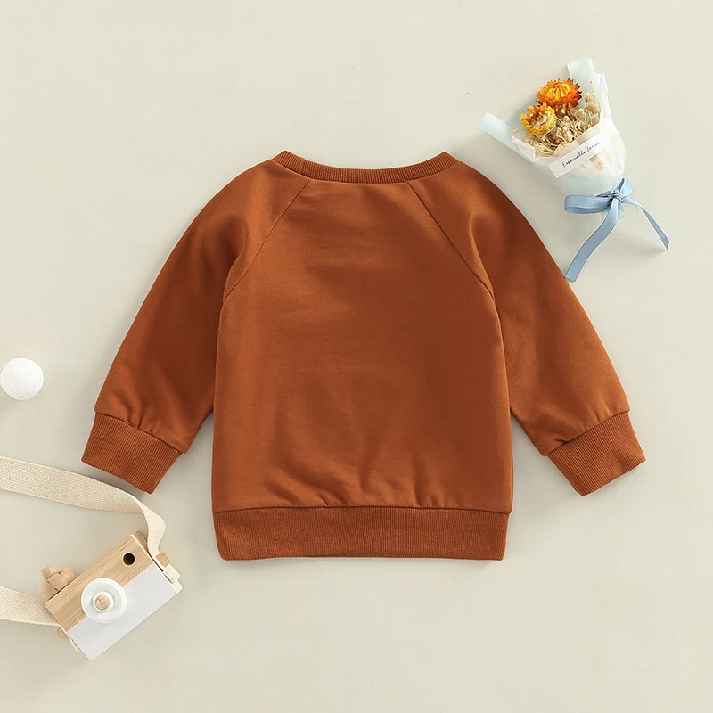FOCUSNORM 0-3Y Toddler Baby Girls Boys Sweatshirt T Shirts Cartoon Animal Letter Print Long Sleeve Casual Pullover Tops