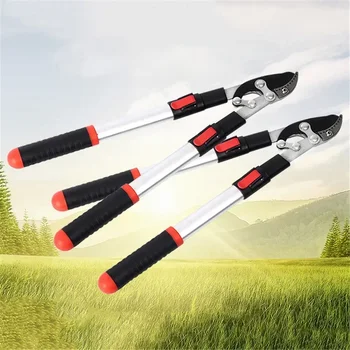 Gardening Fruit Tree Pruning Shears 1