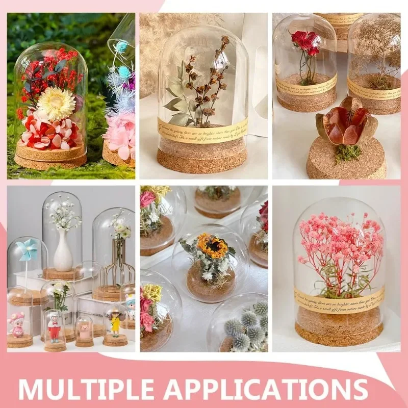 1 pc Glass Display Dome Cloche Glass Bell Jar Display Dome Decorative Jars with Cork Base for Flower Plants Specimens