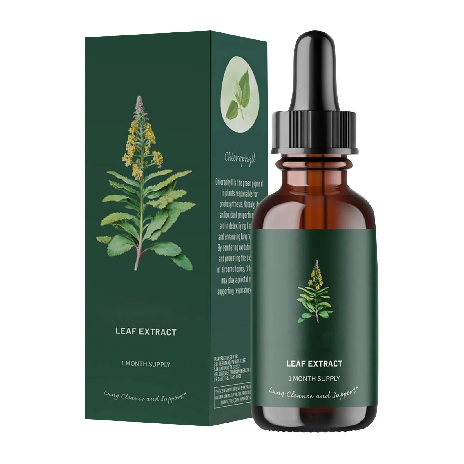Mullein Leaf Extract Support Nose Cleanse Respiratory Function Healthy Breathing Natural Supplement 30ml 2025 Gift Herbal Inhalation Essence