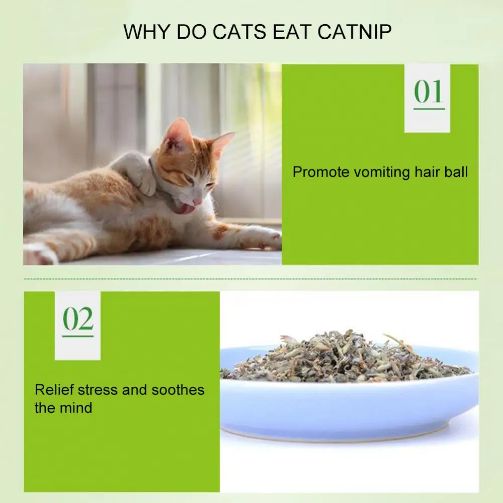 Catnip 5 גרם\אריזה חתול נענע אבקת מנטה טבעי לחיות מחמד חתלתול ניקוי הפה ניקוי פינוקים