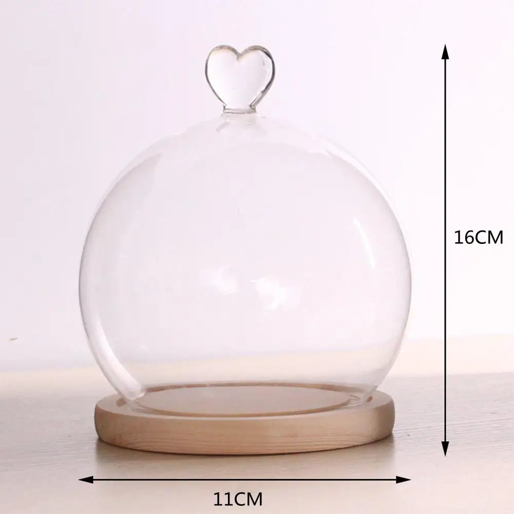 Decorative Clear Glass Dome with Base Cloche Glass Dome Crafts Showcase  Collectibles Bell Jar Stand for Birthday Gifts Office - AliExpress