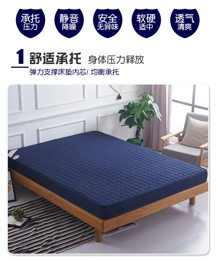 Description Picture 6 of itemTatami Mattress cushion student dormitory single double mat sponge pad thin summer mat quilt thickened household mattress