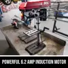 6.2 Amp 10 In. 5-Speed Benchtop Drill Press with Laser Alignment & Work Light - DP9505-00 2
