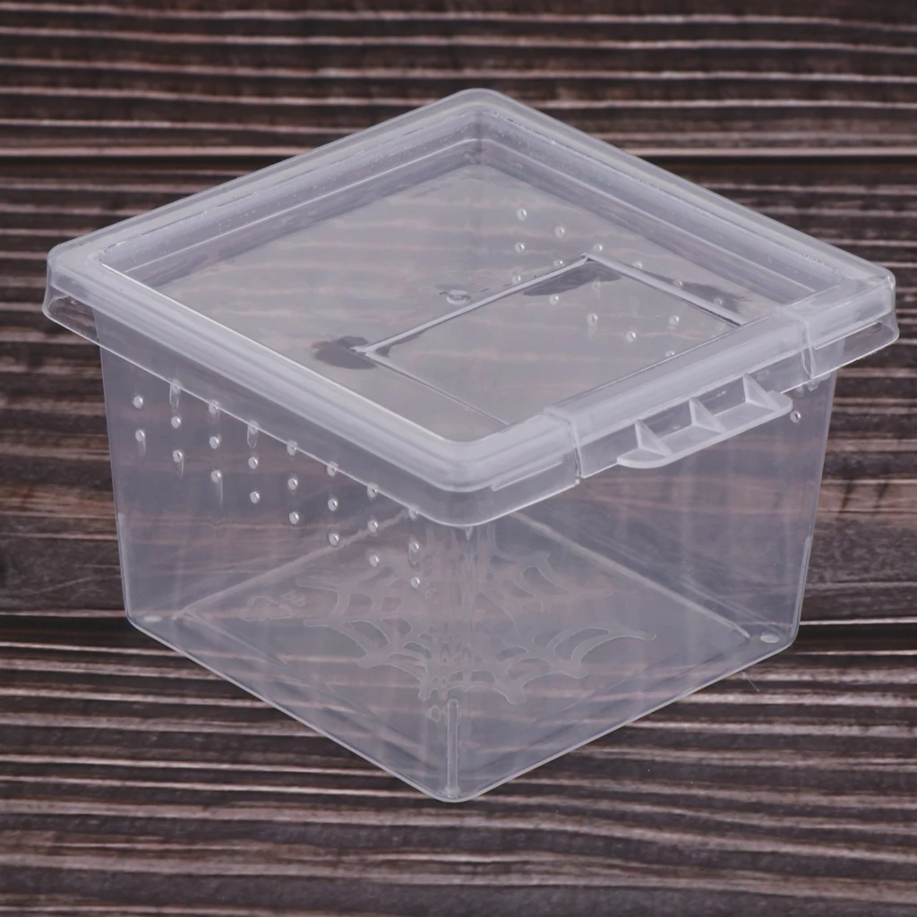 10 sztuk terrariów pająków owadów inkubator pojemników wylęgowych dla Terrarium dla gadów pająków żaby