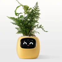 Ivy Smart Planter Endless Fun Over 49 Rich Expressions 7 Smart Sensors And AI Chips Make Raising Plants Easy And Fun 2
