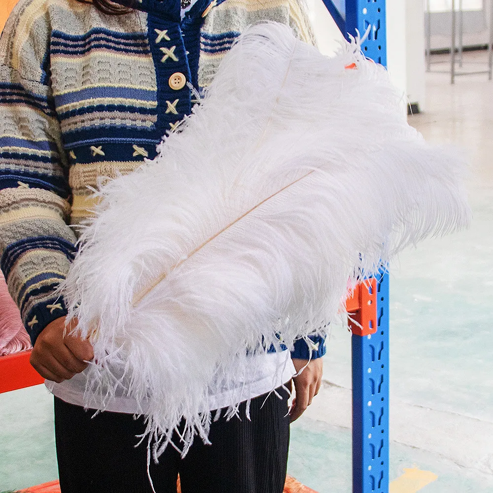 Ostrich Feathers Natural Feathers 10PCS Fluffy Big Ostrich Feathers 15-55CM for Wedding Table Centerpieces Carnaval Party Decoration