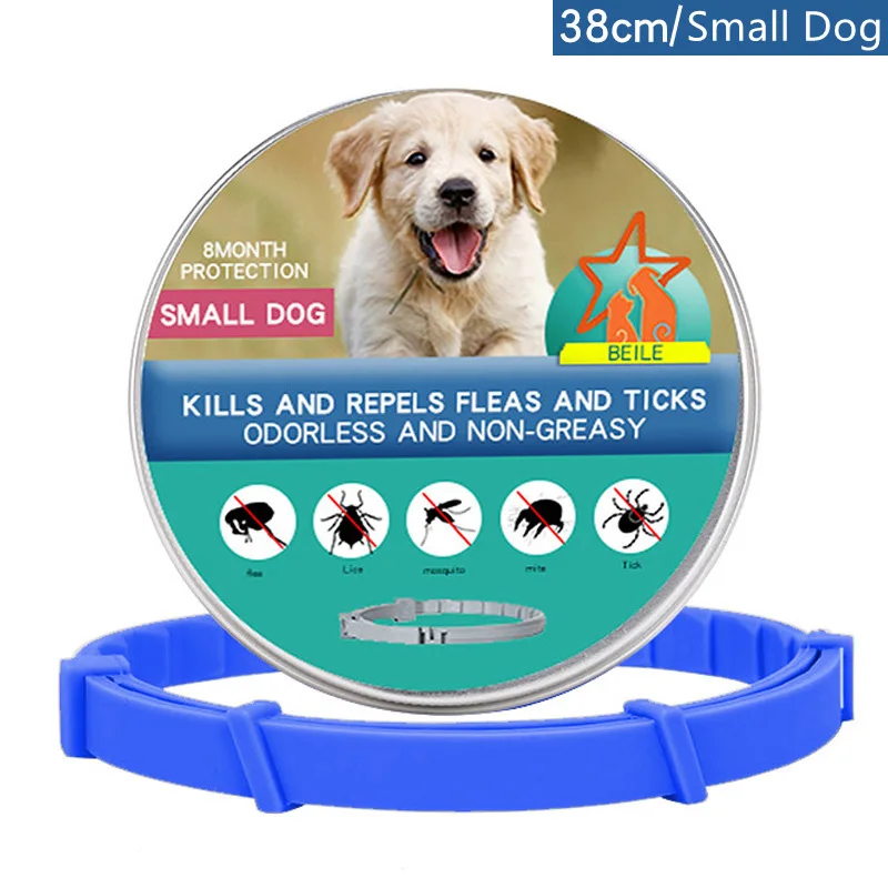 Small Dog-38cm Box B