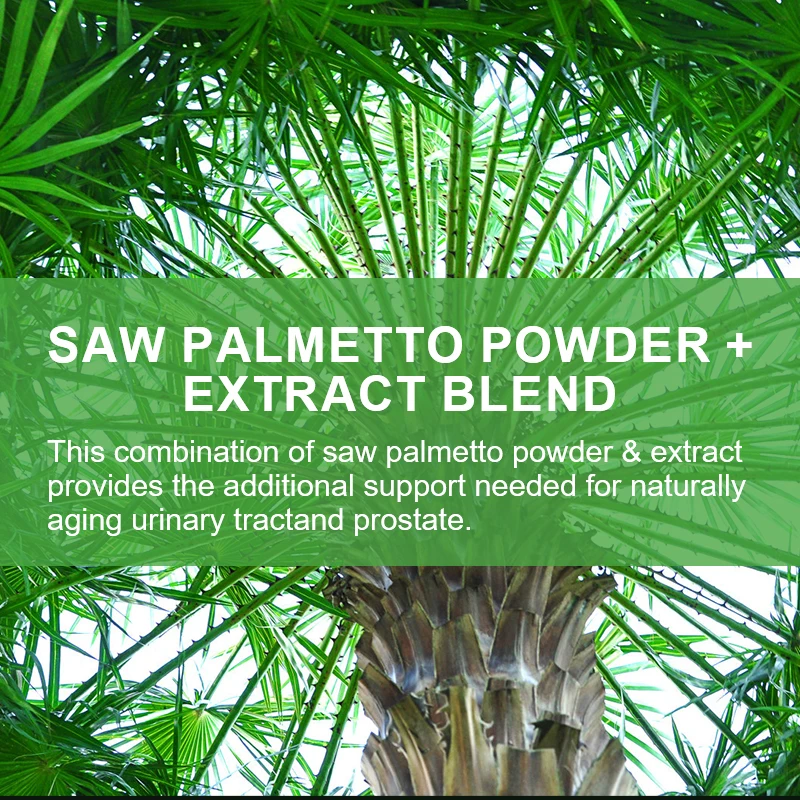 Saw Palmetto Supplement Prostate Urinary Tract Capsules Saw Palmetto Capsules 1000mg-Promotes Prostate Health Blocks DHT and Prevents Hair Loss