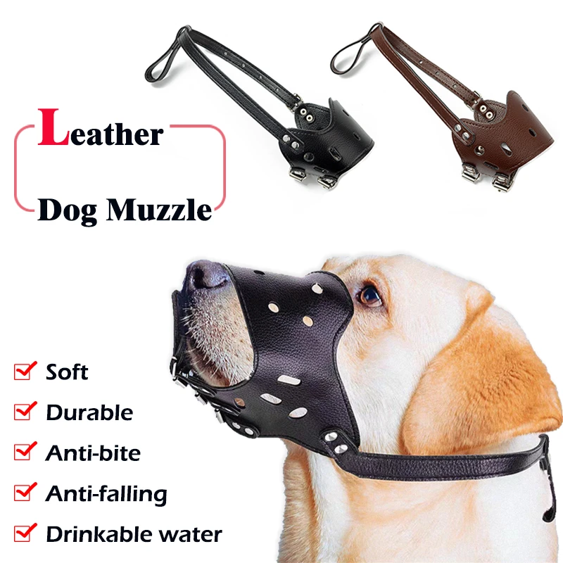 Are Leather Dog Toys Safe