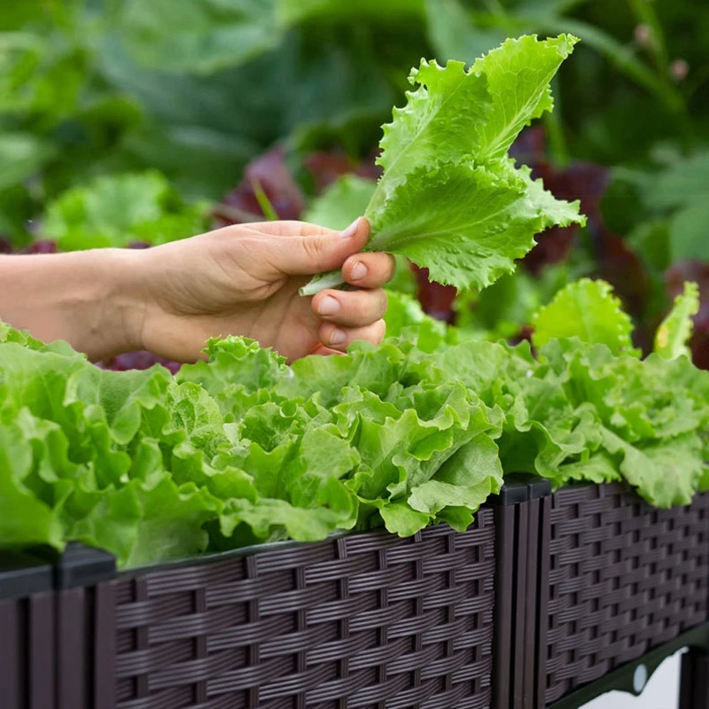 Description Picture 5 of itemLarge Capacity Vegetable Planting Box Home Balcony Planting Pot Equipment Thickened Square Flower Pot Garden Pots & Planters