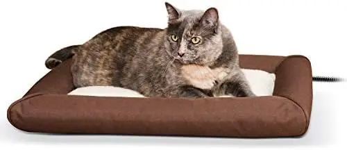 

Pet Products Heated Lectro-Soft Outdoor Pet Bed with Bolster for Dogs and Cats, Chocolate/Tan Small 19.5 X 23 Inches Rat hangin