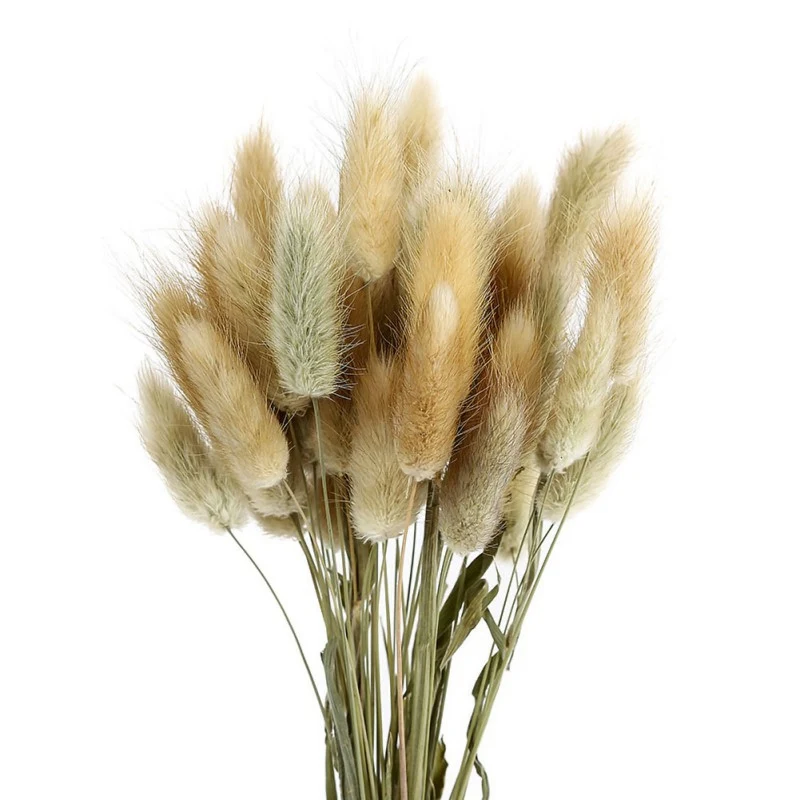 

50pcs Natural Dried Bunny Rabbit Tail Grass Flowers for Wedding Party Christmas Decoration Boho Table Decoration Home Decor