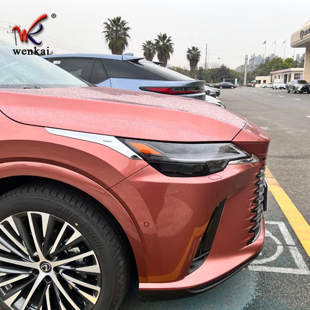 2023  ڵ Ʈ   Ʈ, RX350h, RX500h,  ׼