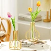 1pc Iron Art Hollow Out Golden Vase Creative Metal Bottle Flower Arrangement with Transparent Hydroponic Test Tube Home Decor 1