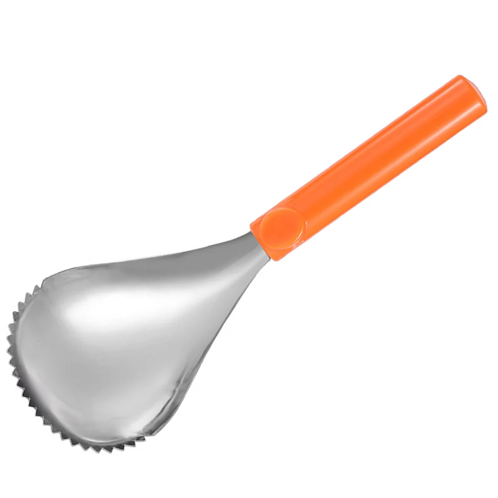 

Pumpkin Pulp Remover Corer Scoop Fruit Corer Serrated Edge Fruit Scraper Stainless Steel Veggie Vegetable Corer Fruit Core