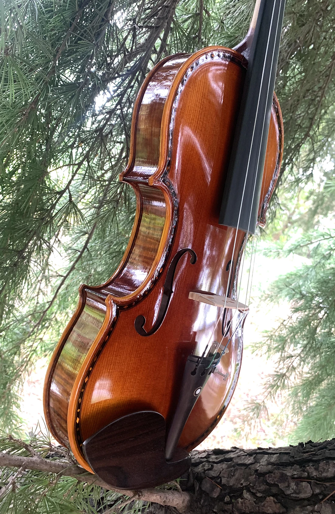 Violin 4/4 Flamed Violin With Shell Mosaic Fully Hand-made Strong Tone Free Case And Bow acoustic violin,violin accessories