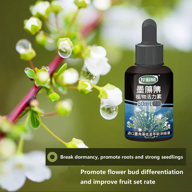 50Ml Tinta Algák Fitodinamika Enyhíti Az Elhízás Elősegítése A Gyökerek Erős Palánták Koncentrált Szerves Talaj Aktivátor Koncentrátum - Image 4