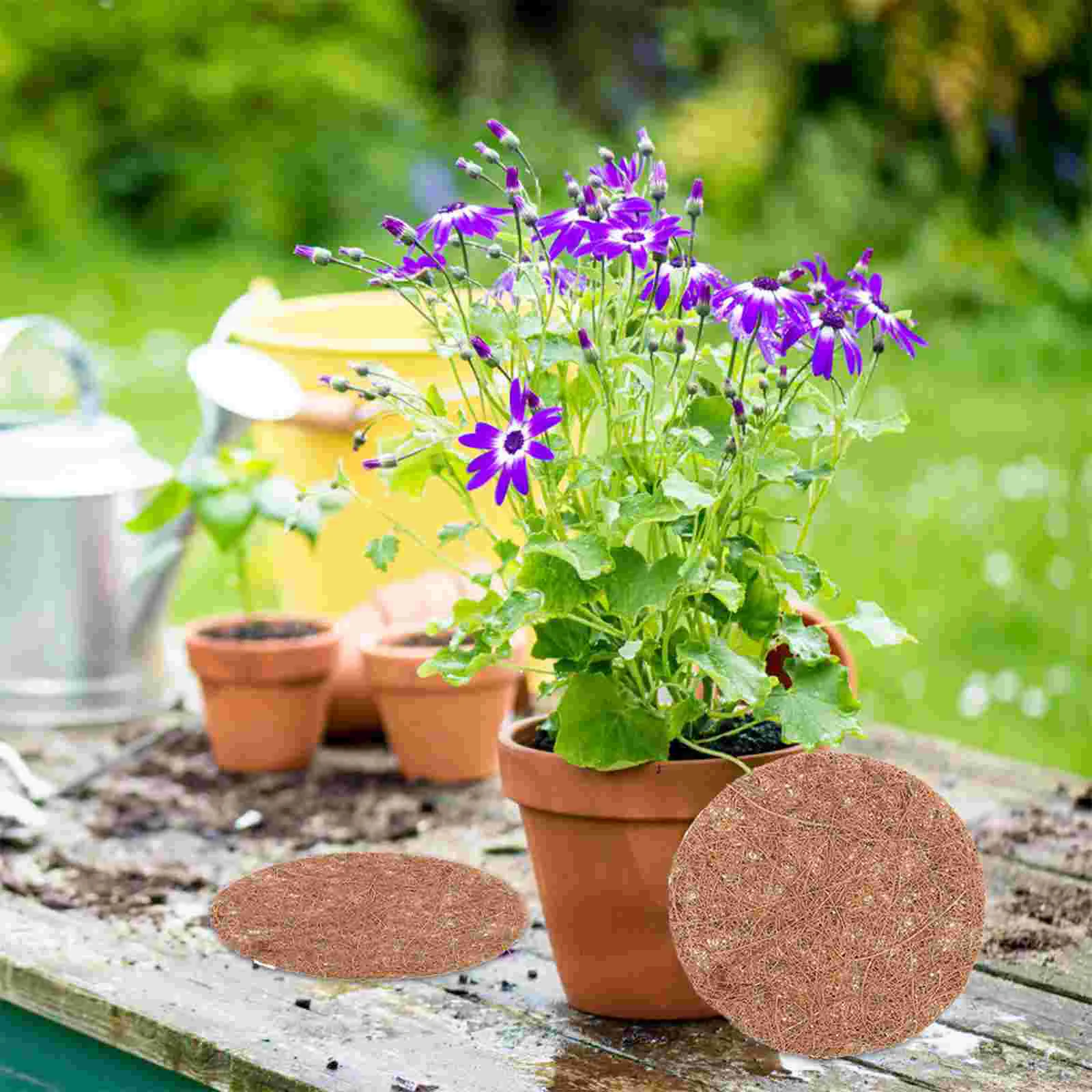 

Coconut Coir Fiber Mat For Planter Palm Mat Fibre Flowerpot Liners Practical Fiber Replacement Hanging