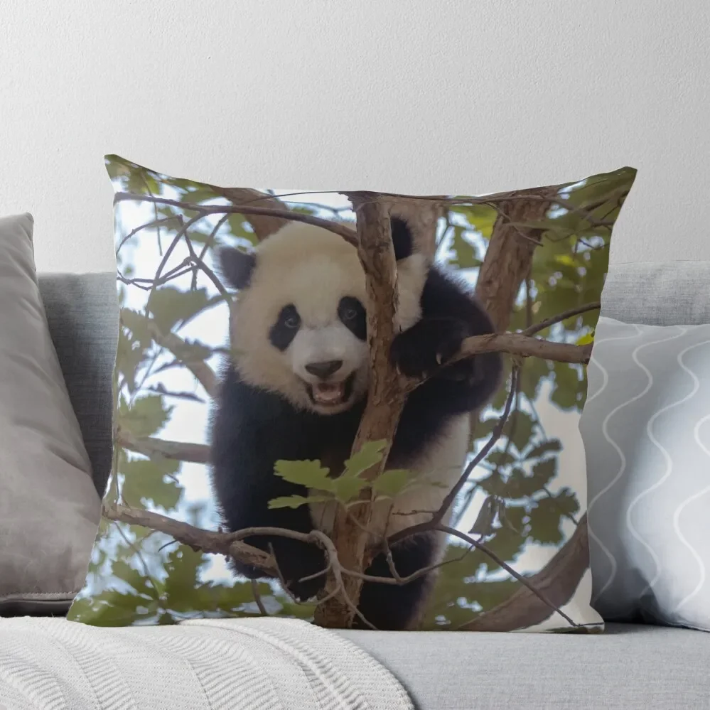 

Baby Panda Xiao Qi Ji at the National Zoo Throw Pillow Cushion Covers For Living Room Sofa Cushions