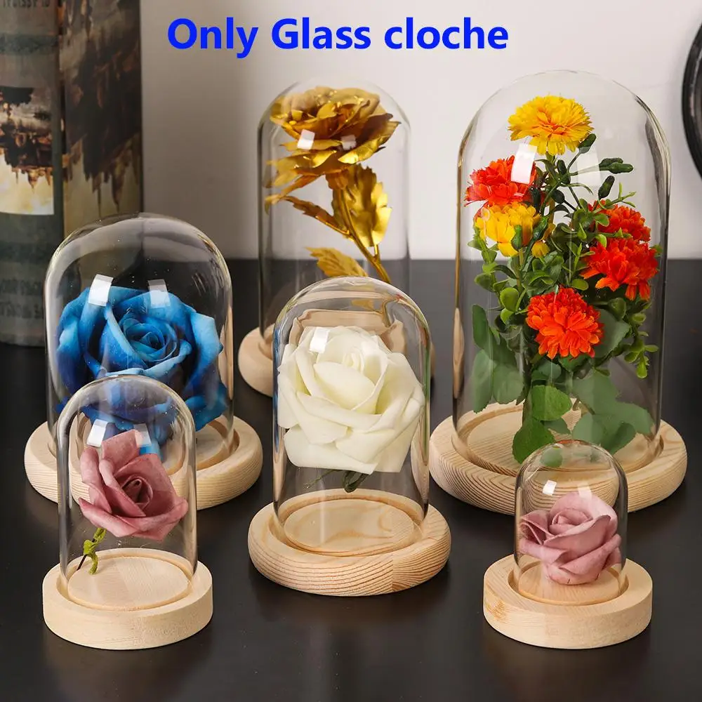 Display Jar Glass Cloche Jar Transparent Display Stand Cover With Wooden Base Acrylic Dust Cover Display Box Terrarium Tabletop Flower Box