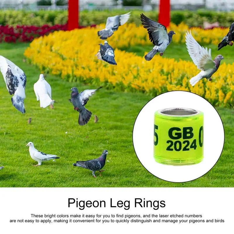 Pigeon Identification Rings 50pcs Safe Birdhouse Accessories Universal Pigeon Supplies Bands Bird Foot Rings Pegeon Accessories - Image 3