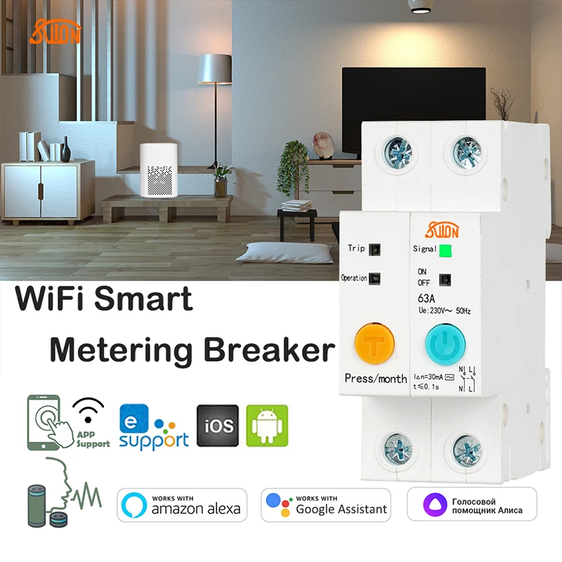 Ewelink Single Phase WIFI Smart Energy Meter remote read kWh Meter wattmeter voice control alexa with Leakage Protection