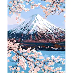 Handpainted Floral Wall Art: Adult Paint by Numbers Kit (40x50cm) - 60x75cm diy frame (Plum)