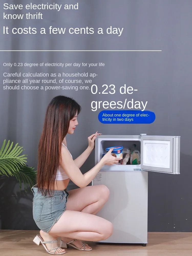 Small refrigerator Home small dormitory rental room frozen refrigeration mini double door refrigerator freezer  무선냉장고  alpicool 3