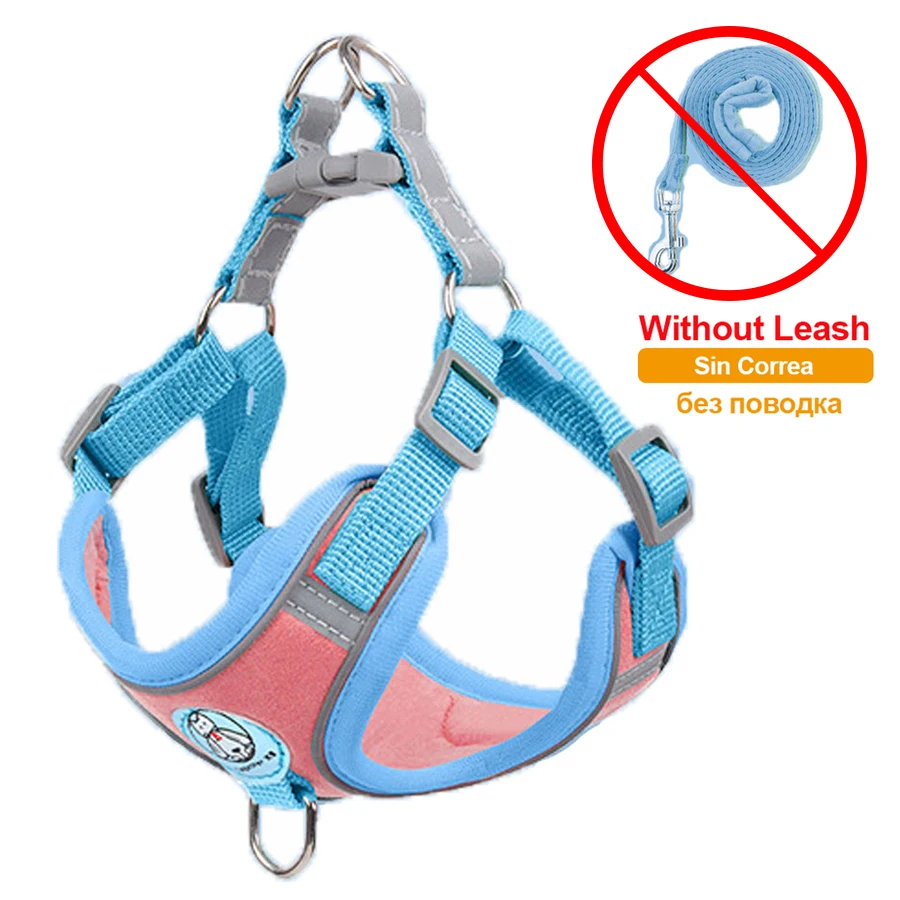 Pink blue No Leash