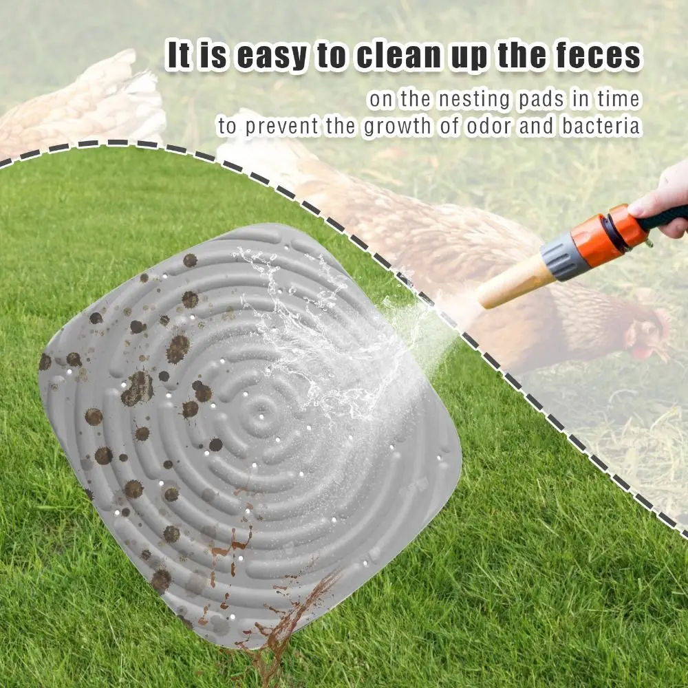     е,  ô   ħ Ʈ,     е, 2 , 4 