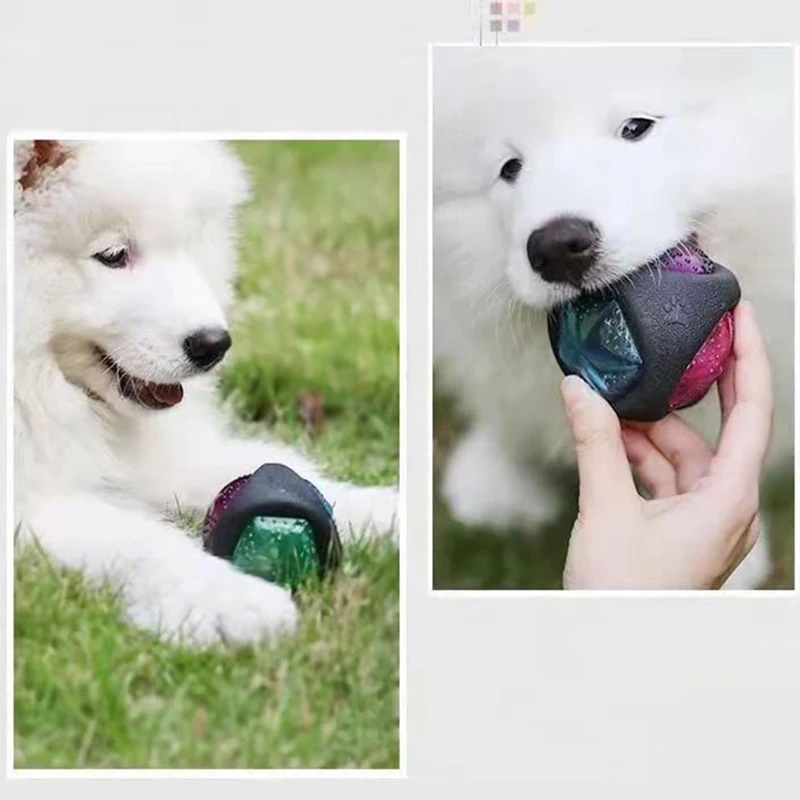 Interactive Pet Dog Toys Funny Dog Light up Ball Puppy Bouncy Balls Bite-resistant Pet Glowing Toys for Dogs Pet Supplies 4
