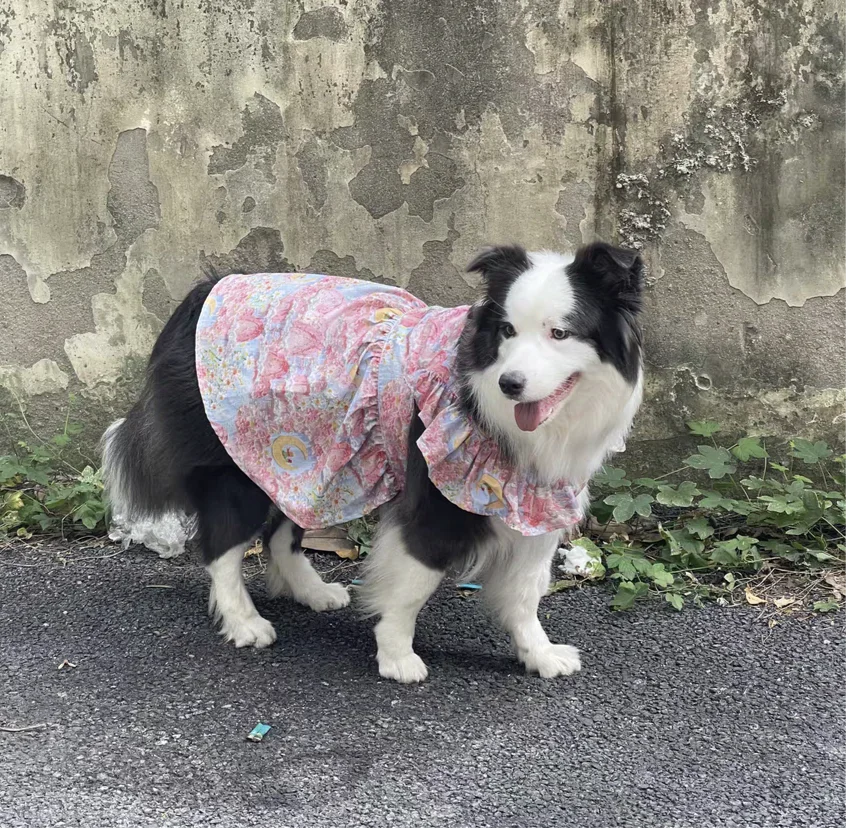 Summer Flower Cute Cat and Dog Clothes - PeticaDeals