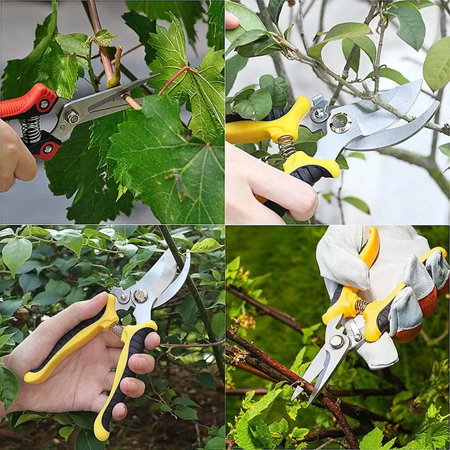 Kerti Secateurs, Rozsdamentes Acél Metsző Ollók, 1 db Szecateursok Olló Kertészet Gyümölcsök Ág Fedezeti Növényeihez - Image 4