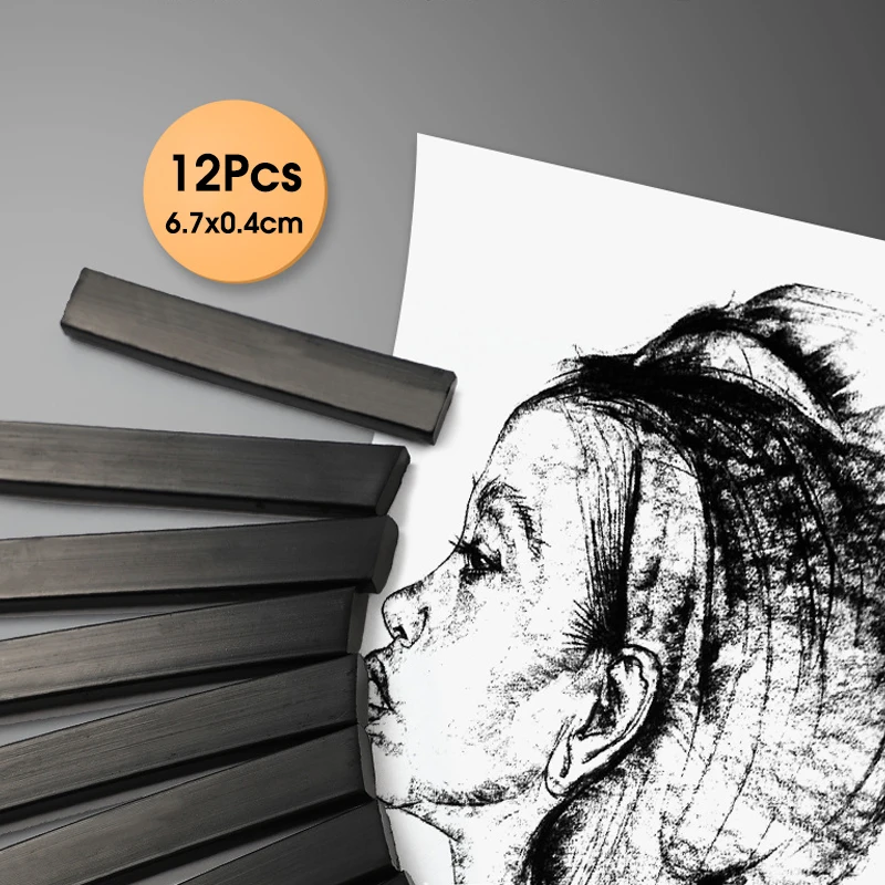 Master Specialized Carbon Rods Sketch Drawing Pencils Art Student Fine Arts Supplies Thick Charcoal Strips 12 Pcs Box