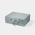 Silver with Ribbon
