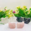 2PCS Natural Crystal Quartz Swan Carving Mini Animal Statue Healing Lucky Energy Gemstone Home Decoration Crystal Crafts Gift 2