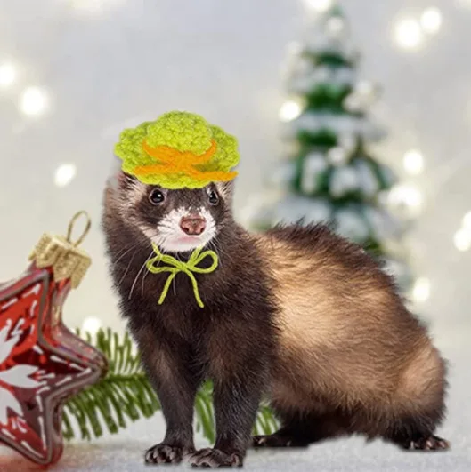 Handmade Knitted Hat Hamster Decoration Chipmunk Guinea Pig Hamster Accessories Toy Supplies Small Pet Hat pet headgear small animal clothes