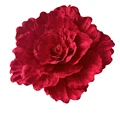 60cm Red