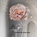 50cm Pink
