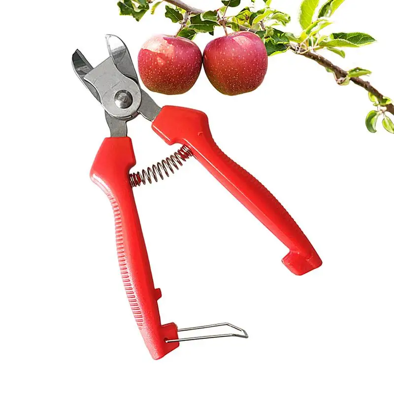 

Garden Shears For Fruit Trees Gardening Scissor With Comfortable Handle Stainless Steel Curved Design Gardening Hand Tools For