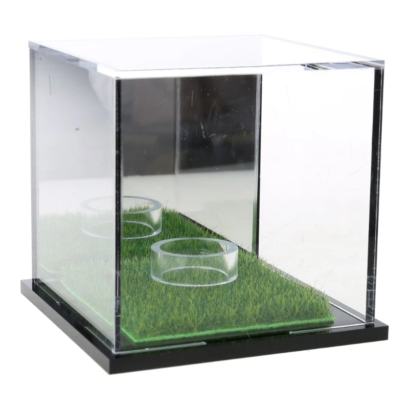 Acrylic Golf Balls Display Case Clear Baseball Holder Dustproof Golf Balls Case
